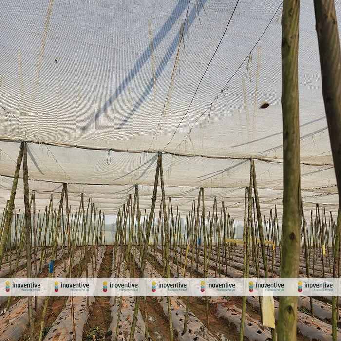Agrosia Pet Agriculture Wire for Shadenet